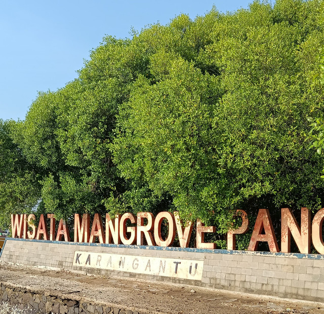 Kegiatan Ocean Wave di Wisata Mangrove Pancer Karangantu, Dok. Pribadi. Dimas Rahmat Naufal Wardhana.