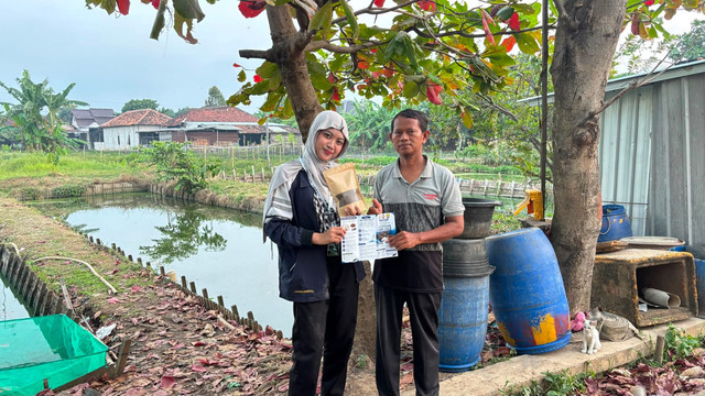 Program Kerja KKN-T Tim 33 UNDIP oleh Najjiya Felisia Majid melaksanakan Praktik Penambahan Asam Amino Lisin Pada Pakan Untuk Meningkatkan Kandungan Nutrisi Pakan