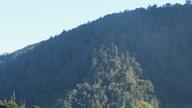 Ilustrasi legenda Gunung Lawu.Foto: Liam Gelap / Unsplash