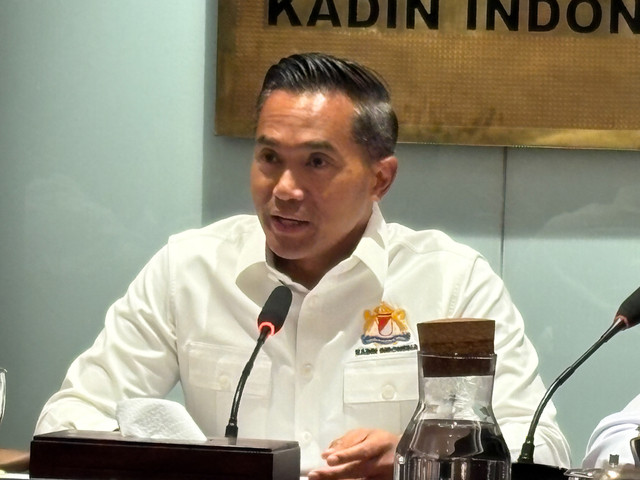 Ketua Umum Kamar Dagang dan Industri (Kadin) Indonesia Anindya Bakrie dalam konferensi pers Kadin Business Pulse Kuartal II 2026 di Menara Kadin, Jakarta Selatan, Rabu (15/7/2026). Foto: Widya Islamiati/kumparan