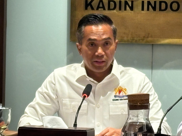 Ketua Umum Kamar Dagang dan Industri (Kadin) Indonesia Anindya Bakrie dalam konferensi pers Kadin Business Pulse Kuartal II 2026 di Menara Kadin, Jakarta Selatan, Rabu (15/7/2026). Foto: Widya Islamiati/kumparan