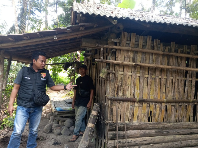 Delapan ekor ayam milik warga di Desa Segobang, Kecamatan Licin, Banyuwangi, dicuri pria paruh baya berinisial S (57). Foto: Dok. Istimewa