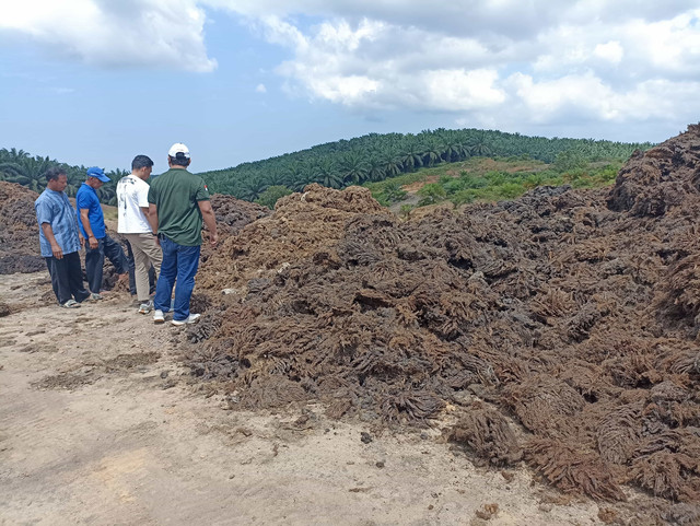 Tumpukan Limbah Tandan Kosong Kelapa Sawit di Desa Beringin Agung, Samboja, Kutai Kartanegara