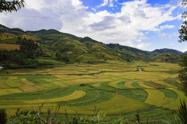 Ilustrasi Vietnam Selatan. Foto: Pixabay.
