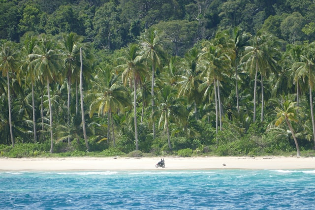 Ilustrasi cerita rakyat Sumatera Barat.Foto: Mentawai Islands Keaton Dickinson / Unsplash