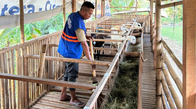 Program Pemberdayaan Peternak Sejahtera, Kelompok Binaan DT Farm di Kampung Cabang Dua, Bekasi (Sumber: DT Peduli)