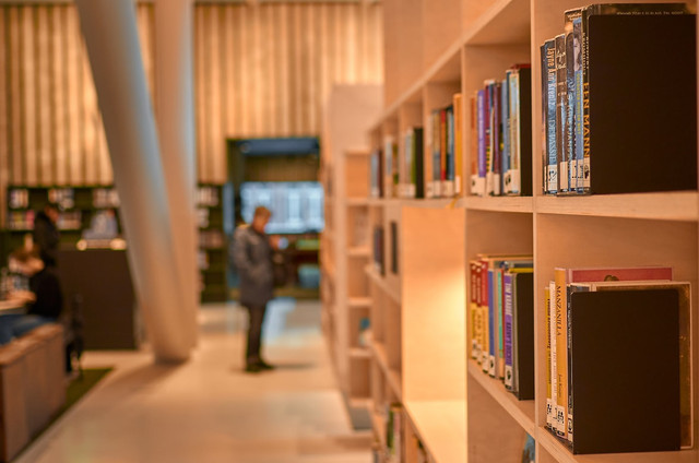 Ilustrasi Library Passport. Foto: Unsplash.com/Alexei Maridashvili