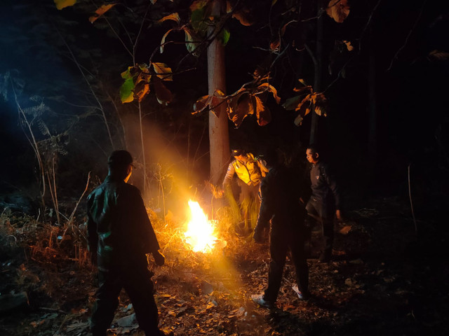 Kebakaran di kawasan hutan Perhutani di Petak 62 RPH Gangsiran, BKPH Sampung KPH Madiun, wilayah Kecamatan Sampung, Kabupaten Ponorogo. Foto: Dok. BPBD Jatim