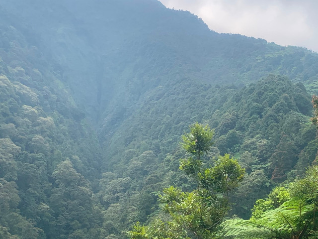 Lembahan di selatan Gunung Bismo, lokasi Curug Telu dan Kali Preng/Dokumentasi Wanadri