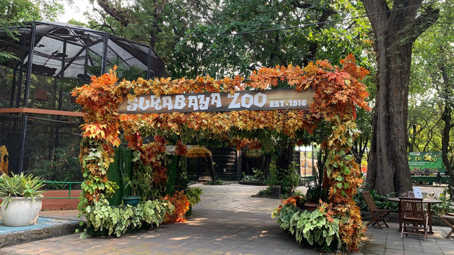 Suasana Kebun Binatang Surabaya (KBS), Kamis (23/7/2026). Foto: Farusma Okta Verdian/kumparan