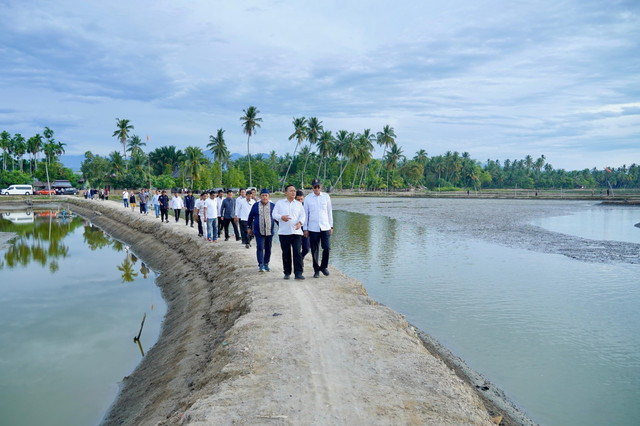 Kemenhub dan KKP percepat rehabilitasi 15.000 hektare tambak pascabencana di Aceh guna pulihkan produktivitas dan ekonomi pesisir, Jumat (25/7/2026). Foto: KKP