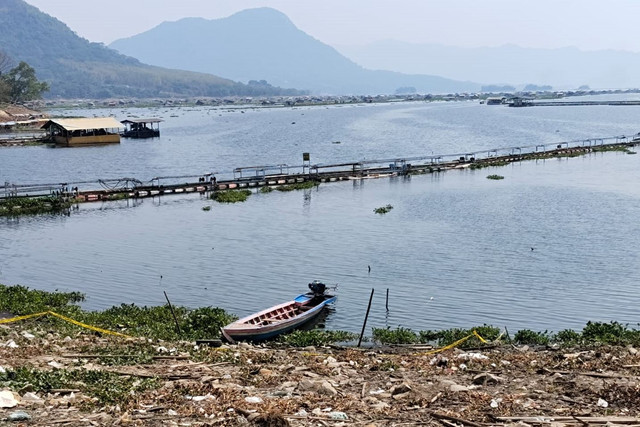Garis polisi terpasang di lokasi penemuan mayat seorang sekuriti di Waduk Jatiluhur, Purwakarta, Sabtu (25/6/2026). Foto: kumparan