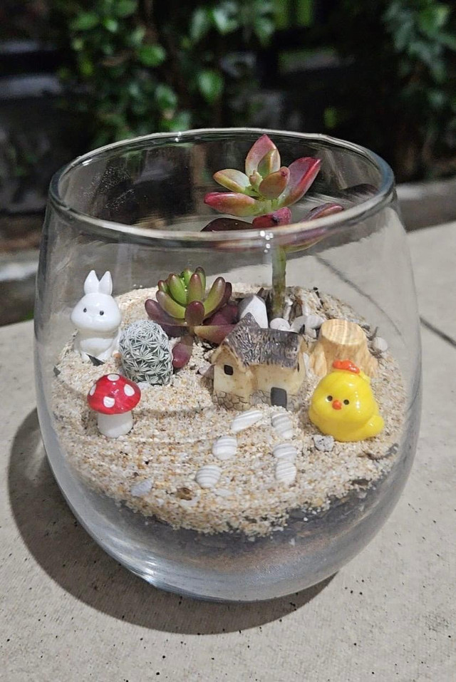 Teranium Kaktus Mini Garden untuk aktivitas Offline Fun Day pada Remaja