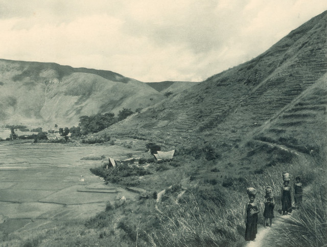 Lembah Limbong di lereng Pusuk Buhit, Samosir (1905). Foto: C.J. Kleingrothe (KITLV).