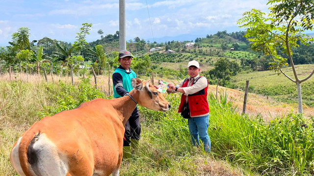 Dokumentasi Pelaksanaan Program Kerja "Rahasia Sapi Produktif: Pedoman Pemberian Vitamin B Complex dan Obat Cacing" pada 23/07/2026