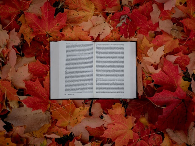 Ilustrasi legenda I La Galigo.Foto: Aaron Burden / Unsplash