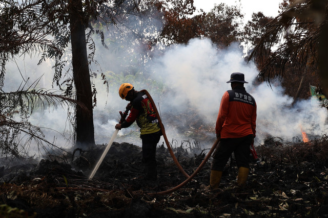 Personel BPBD Kabupaten Kubu Raya menyemprotkan air ke lahan gambut yang terbakar di kawasan Bumi Serdam Indah, Kecamatan Sungai Raya, Kabupaten Kubu Raya, Kalimantan Barat, Rabu (29/7/2026). Foto: Jessica Wuysang/ANTARA FOTO