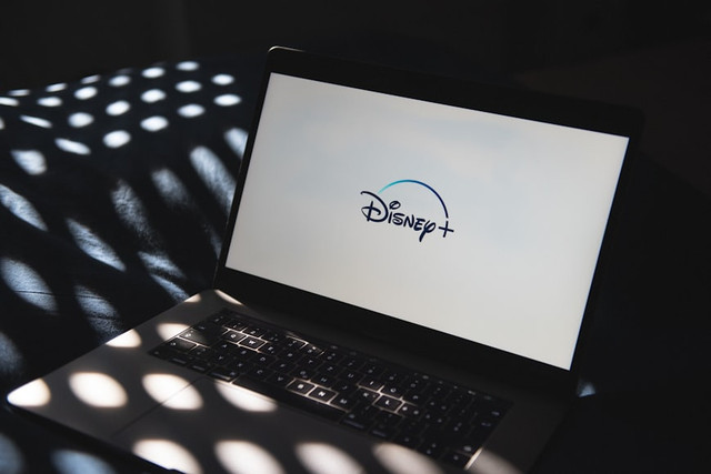 Ilustrasi Merry Berry Love Kapan Tayang di Disney+, Foto: Unsplash/Thibault Penin