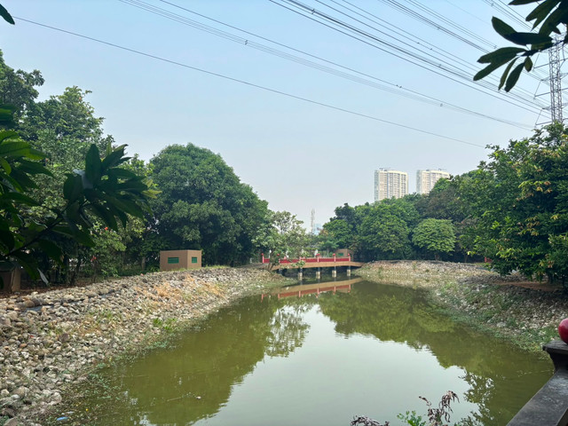 Hutan Kota Rawa Buaya, Cengkareng, Jakarta Barat. Foto: Priscilla Brenda/kumparan