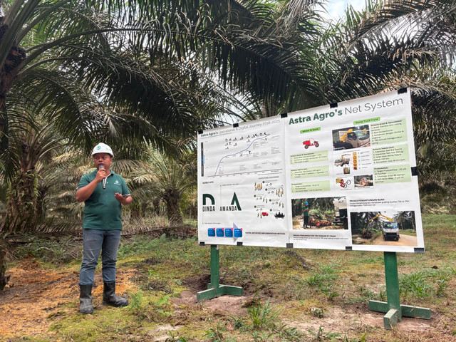 Aktivitas panen di perkebunan kelapa sawit PT Gunung Sejahtera Ibu Pertiwi dan PT Agro Menara Rachmat (PT GSIIP-AMR) yang merupakan anak usaha Astra Agro Lestari di Kalimantan Tengah pada Kamis (30/7/2026). Foto: Argya D. Maheswara/kumparan 