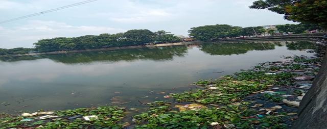 Pencemaran parah akibat kurangnya kesadaran warga dan pengawasan pemerintah dalam pengelolaan sampah menyebabkan sampah plastik dan tumbuhan air menutupi Danau Pamulang Square, Tangerang Selatan, Minggu, 15 Juni 2025.