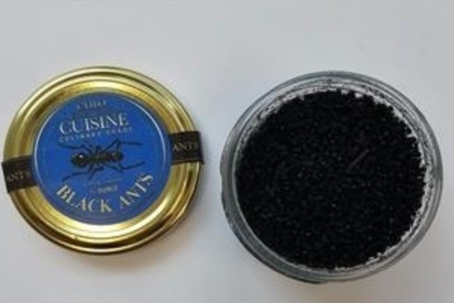 Foto bahan semut untuk makanan yang dirilis kementerian Korea Selatan. Foto: Kementerian Keamanan Pangan dan Obat-obatan Korea Selatan