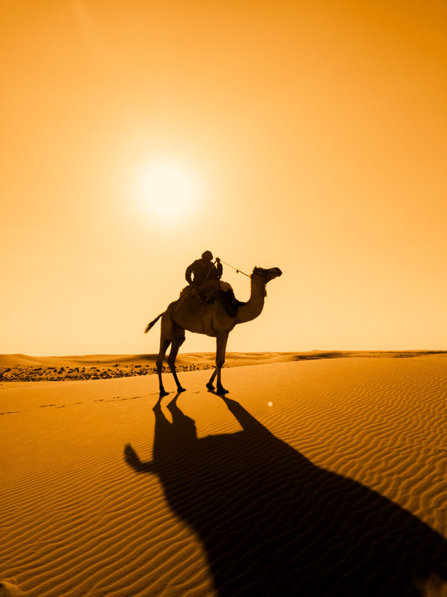 Ilustrasi Perjalanan Hijrah Foto by Pexels