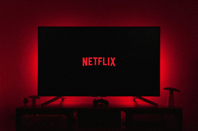 Ilustrasi Nonton Wild Sing Netflix, Unsplash/Thibault Penin