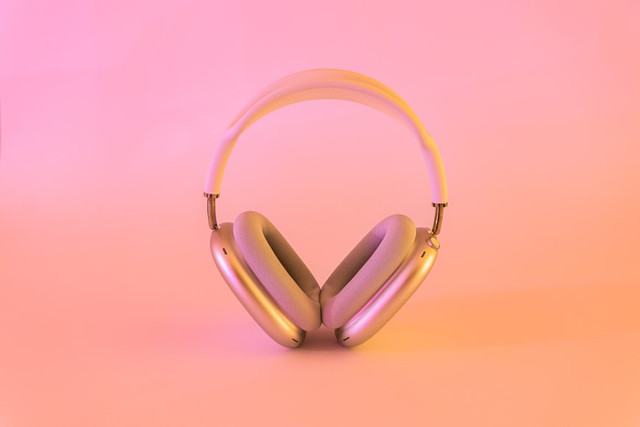 Ilustrasi Lirik Lagu Skibidi HyoRiSoo. Unsplash.com/Ervo Rocks