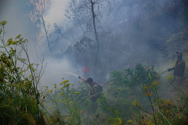 Sejumlah petugas berupaya memadamkan kebakaran hutan di Blok Bantengan, kawasan Taman Nasional Bromo Tengger Semeru (TNBTS), Kabupaten Probolinggo, Jawa Timur, Selasa (4/8/2026). Foto: Irfan Sumanjaya/ANTARA FOTO