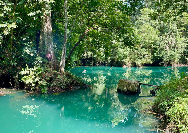 Panorama Danau Nyadeng di Kampung Merabu, Kecamatan Kelay, Kabupaten Berau, yang dikenal dengan airnya yang jernih berwarna hijau kebiruan dan dikelilingi hutan tropis. Foto: Feyruz Hana Wijaya.