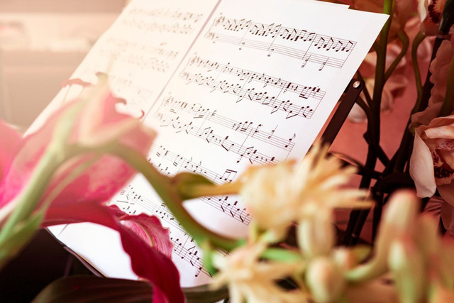Ilustrasi lirik lagu flirty. Foto: Pexels