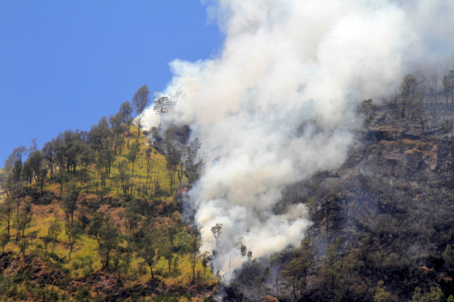 Asap mengepul dari kebakaran hutan di kawasan Taman Nasional Bromo Tengger Semeru (TNBTS), Kabupaten Probolinggo, Jawa Timur, Kamis (6/8/2026). Foto: Umarul Faruq/ANTARA FOTO