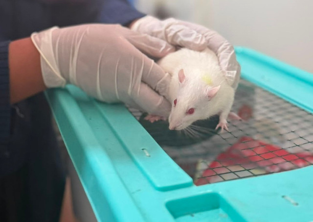 UNISA Yogyakarta Perkuat Riset Melalui Laboratorium Animal House