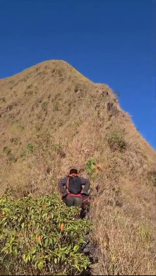 Tim SAR Bondowoso mendaki ke puncak Piramid usai menemukan ceceran tisu dengan bercak darah, Selasa pagi (4/8/2026). Siangnya pukul 12.41 WIB, kedua survivor ditemukan di dasar jurang dalam keadaan tewas/Dokumentasi SAR Piramid