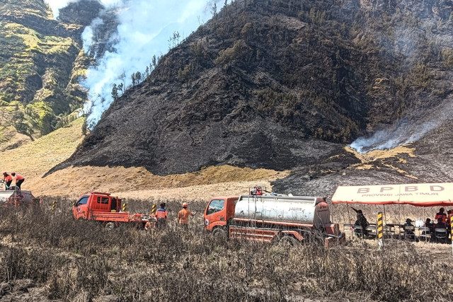 Petugas berupaya memadamkan kebakaran hutan di kawasan Taman Nasional Bromo Tengger Semeru (TNBTS), Kabupaten Probolinggo, Jawa Timur, Jumat (7/8/2026). Foto: BB-TNBTS