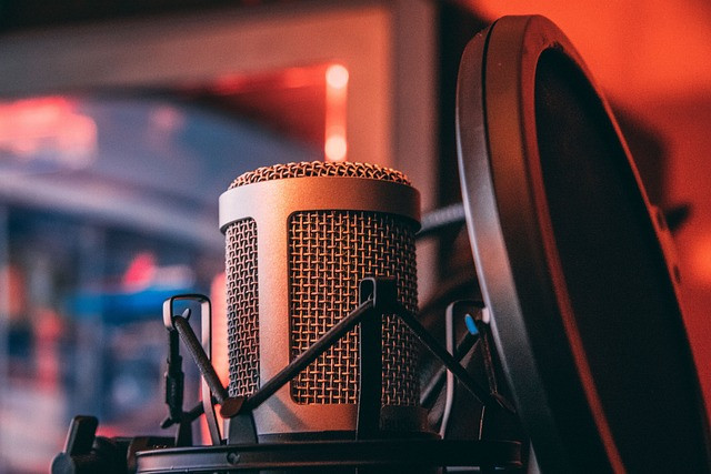 Ilustrasi microphone, voice, sound. Foto: Pixabay