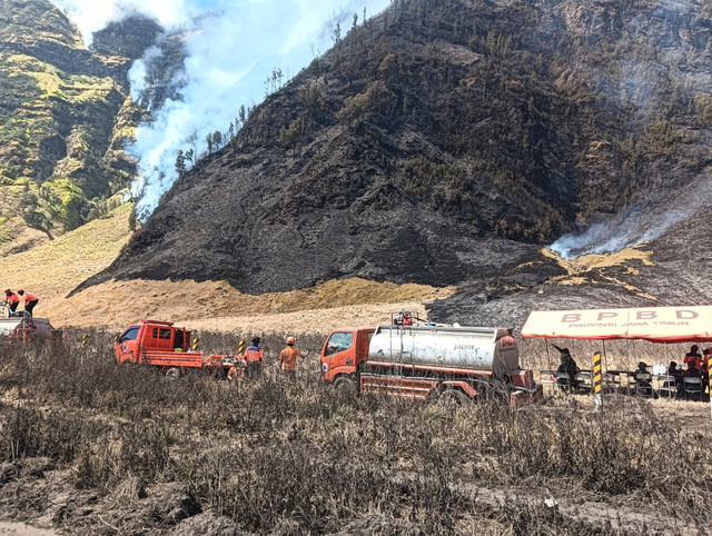 Kebakaran hutan dan lahan di kawasan Gunung Bromo, Jawa Timur. Foto: Dok. Istimewa