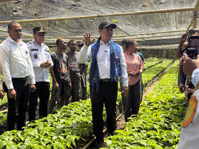 Kunjungan Menteri Pertanian Amran Sulaiman ke Alor, NTT untuk memastikan harga beras normal sekaligus meninjau pembibitan kakao pada Sabtu (8/8/2026). Foto: Argya Maheswara/kumparan