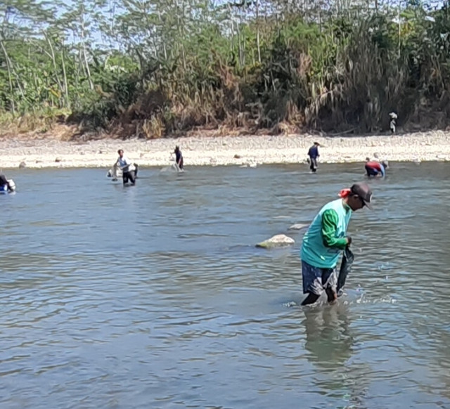 Peserta antusias menjala ikan di Sungai Klawing, memeriahkan HUT ke-81 RI Desa Penaruban dengan penuh semangat dan kebersamaan.Foto dokumen pribadi.