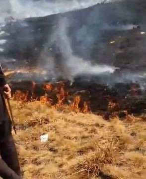 Kebakaran lahan kembali terjadi di kawasan Taman Nasional Gunung Gede Pangrango (TNGGP), Jawa Barat. Puluhan personel gabungan diterjunkan untuk proses pemadaman api. Foto: Dok. Istimewa