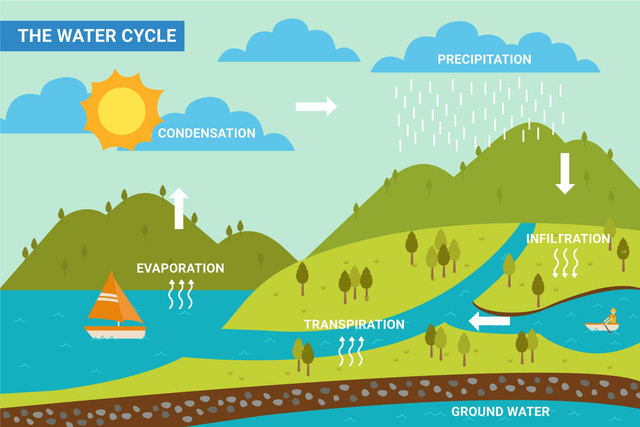 Siklus Hidrologi/Air (Sumber: Magnific.com)