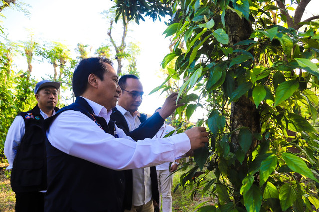 Kemensos menggelar sosialisasi Kolaborasi Pemberdayaan Masyarakat Kemensos dengan PT Mega Inovasi Organik di Bluto, Sumenep, Jumat (7/8/2026). Foto: Dok. Kemensos