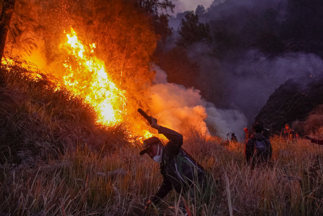 Petugas gabungan berupaya memadamkan kebakaran hutan di kawasan Taman Nasional Bromo Tengger Semeru (TNBTS), Kabupaten Pasuruan, Jawa Timur, Minggu (9/8/2026). Foto: ANTARA FOTO/Irfan Sumanjaya