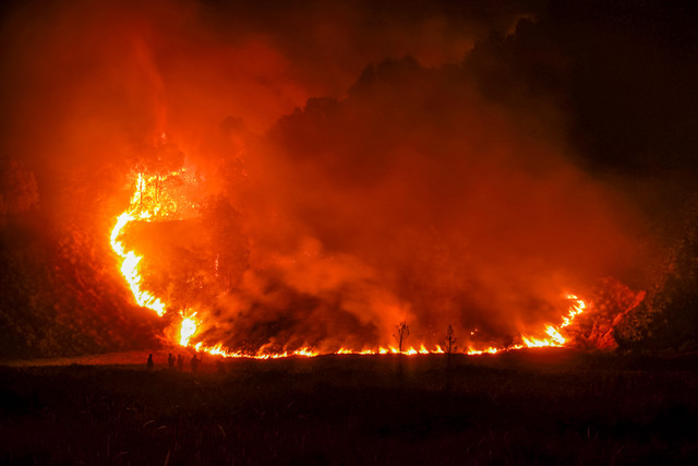 Suasana kebakaran hutan di kawasan Taman Nasional Bromo Tengger Semeru (TNBTS), Kabupaten Pasuruan, Jawa Timur, Minggu (9/8/2026). Foto: ANTARA FOTO/Irfan Sumanjaya