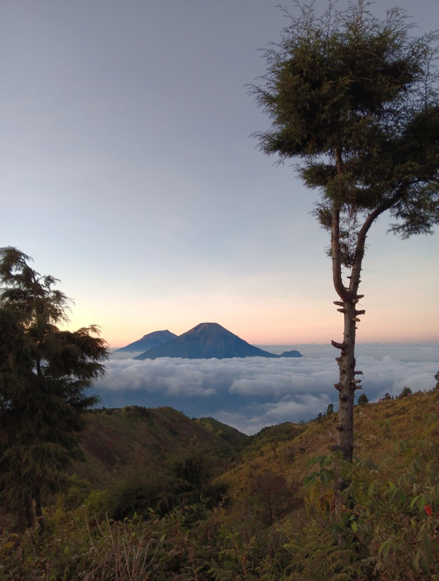 Gunung Prau / Sari Rahayu