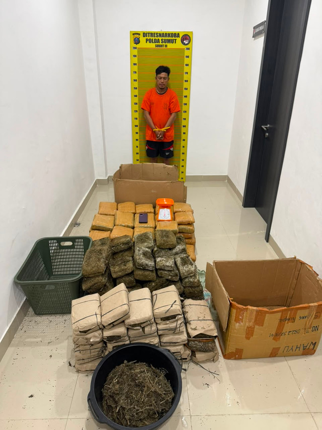 Polda Sumut menangkap pelaku terkait peredaran narkoba jenis ganja sebanyak 169 kilogram di Deli Serdang. Foto: Dok. Polda Sumut