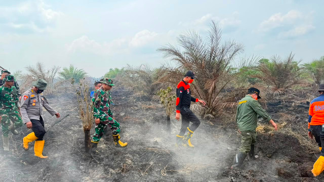 Sejumlah petugas gabungan berupaya memadamkan Karhutla di Jambi. Foto: Dok. Istimewa