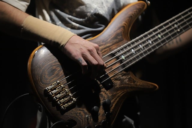 Ilustrasi bass guitar, musical performance, concert. Foto: Pixabay