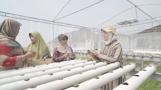 UMS Dorong Kemandirian Pangan KWT Lewat Hidroponik Tenaga Surya